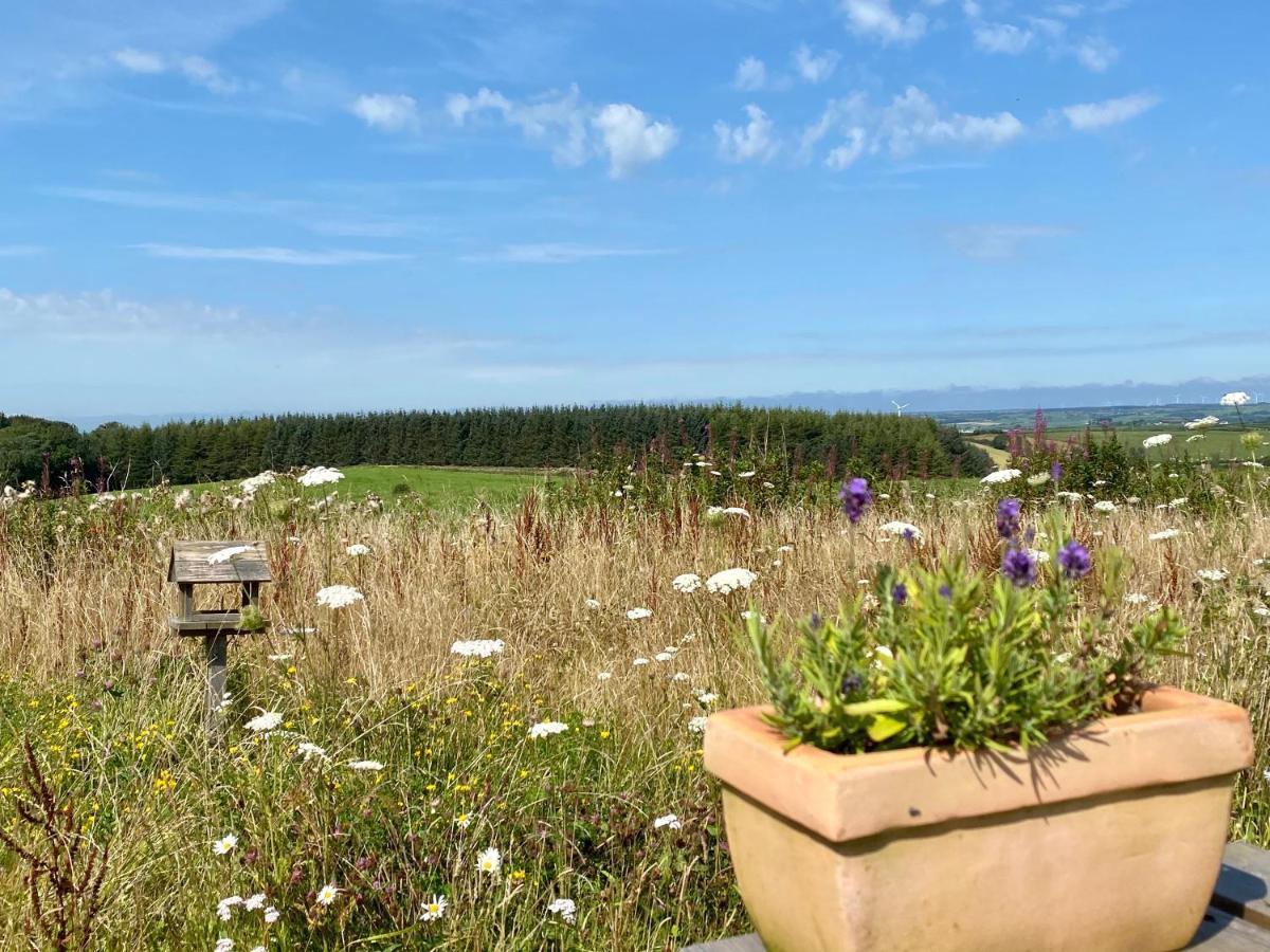 Holiday home No 1 Ramageton At Carnell Estates